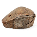 Dinosaur Bone Fragment - Fossil Specimen