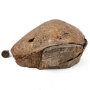 Dinosaur Bone Fragment - Fossil Specimen