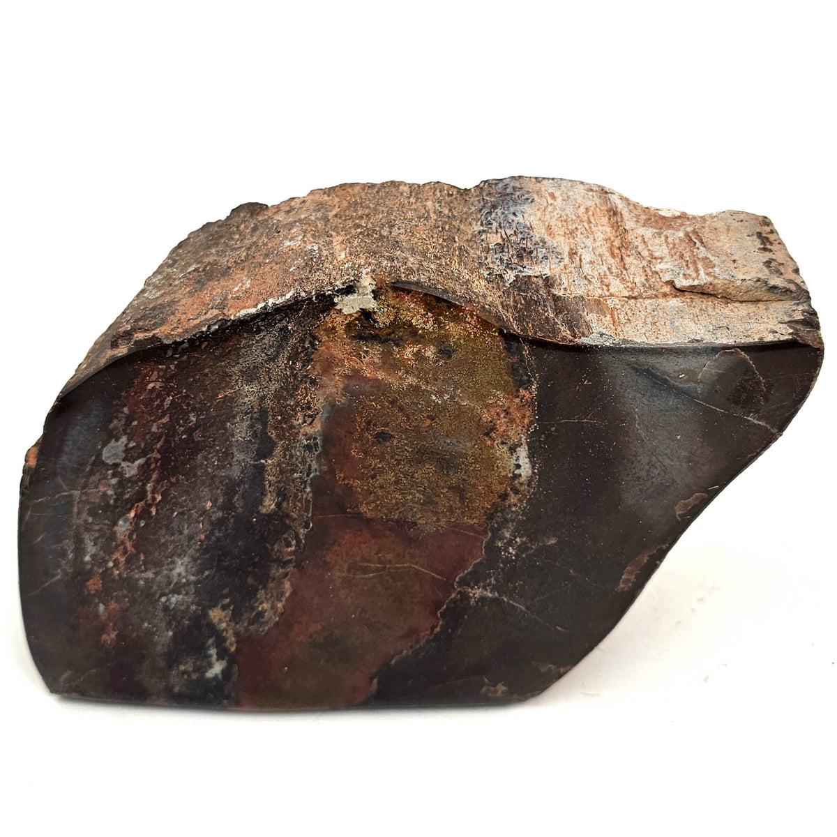 Dinosaur Bone Fragment fossil specimen from Morrison Formation, Utah, USA, Late Jurassic.
