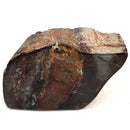 Dinosaur Bone Fragment - Fossil Specimen