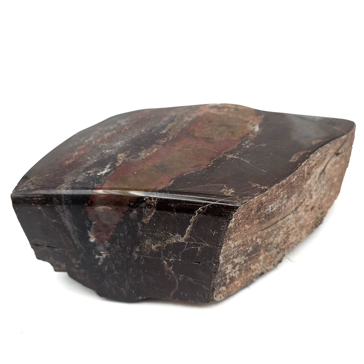 Dinosaur Bone Fragment fossil specimen from Morrison Formation, Utah, USA, Late Jurassic.