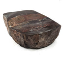 Dinosaur Bone Fragment - Fossil Specimen
