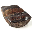 Dinosaur Bone Fragment - Fossil Specimen