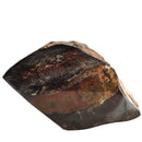 Dinosaur Bone Fragment - Fossil Specimen