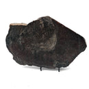 Dinosaur Bone Slab - Fossil Specimen