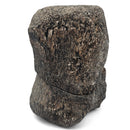 Dinosaur Bone Vertebra - Fossil Specimen