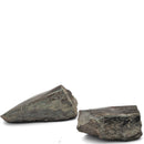 Dinosaur Bone Fragment Pair - Fossil Specimen