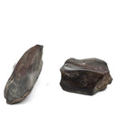 Dinosaur Bone Fragment Pair - Fossil Specimen