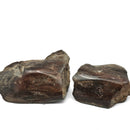 Dinosaur Bone Fragment Pair - Fossil Specimen