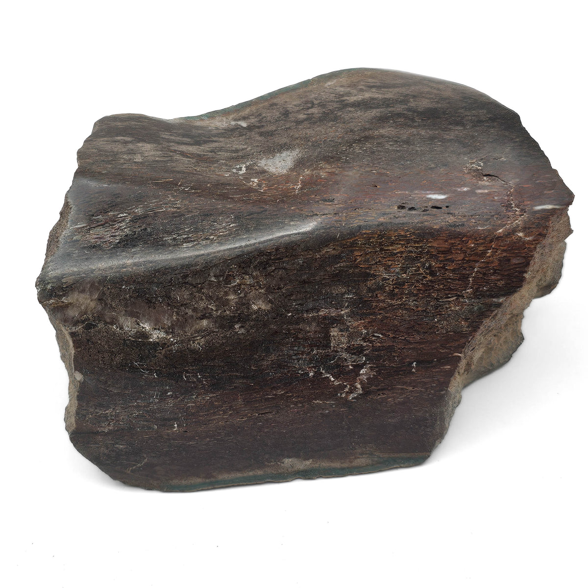 Dinosaur Bone Fragment Pair fossil specimen from Morrison Formation, Utah, USA, Late Jurassic.