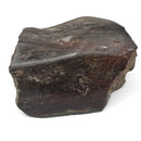 Dinosaur Bone Fragment Pair - Fossil Specimen
