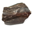 Dinosaur Bone Fragment Pair - Fossil Specimen