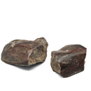 Dinosaur Bone Fragment Pair - Fossil Specimen