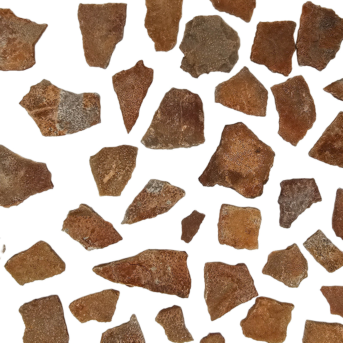 Dinosaur Eggshell fragment from Rousset, France.