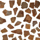 Dinosaur Eggshell - Fragment - France - Mesozoic