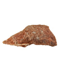Dinosaur Eggshell - Fragment - France - Mesozoic