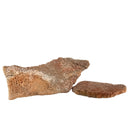 Dinosaur Eggshell - Fragment - France - Mesozoic