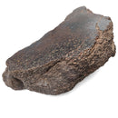 Dinosaur Bone Fragment - Fossil Specimen