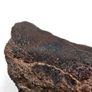 Dinosaur Bone Fragment - Fossil Specimen