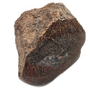 Dinosaur Bone Fragment - Fossil Specimen
