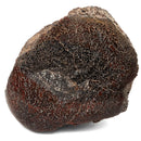 Dinosaur Bone Fragment - Fossil Specimen