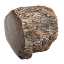 Dinosaur Bone Fragment - Fossil Specimen