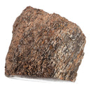 Dinosaur Bone Fragment - Fossil Specimen