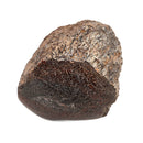 Dinosaur Bone Fragment - Fossil Specimen