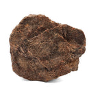 Dinosaur Bone Fragment - Fossil Specimen