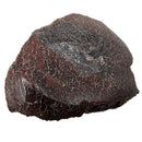 Dinosaur Bone Fragment - Fossil Specimen