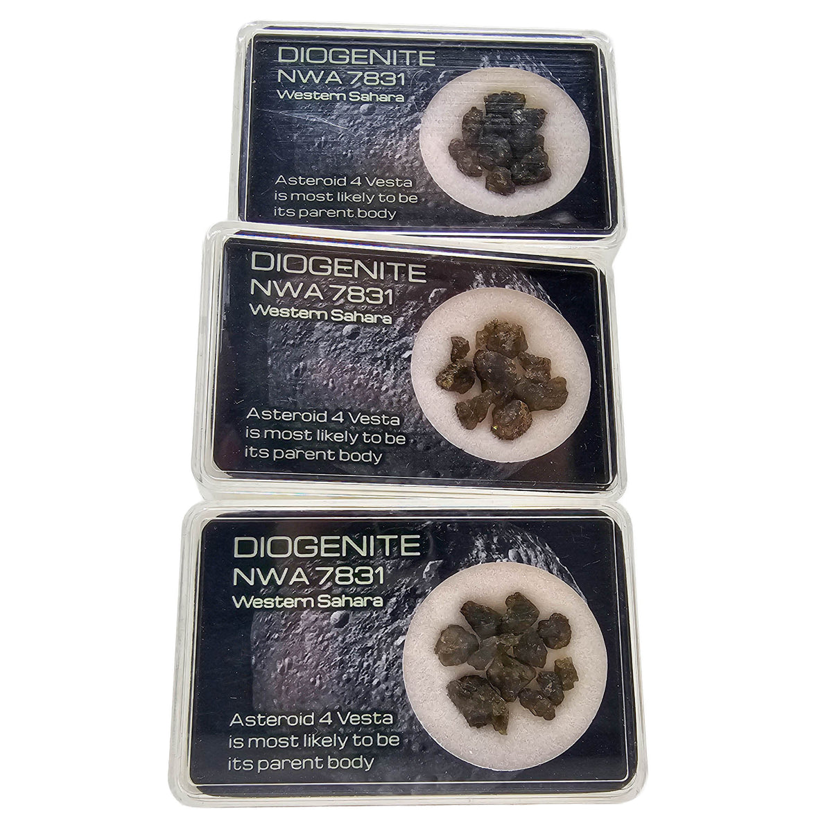 Diogenite NWA 7831 - Mineral - Western Sahara - meteorite
