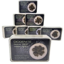 Diogemite NWA 7831 - Mineral - Western Sahara - meteorite