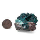 Dioptase - Specimen