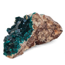 Dioptase - Specimen