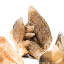 Dogtooth Calcite - Mineral Specimen