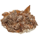 Dogtooth Calcite - Specimen