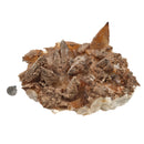 Dogtooth Calcite - Specimen