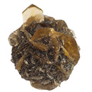 Golden Duck Bill Selenite - Specimen