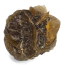 Golden Duck Bill Selenite - Specimen