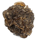 Golden Duck Bill Selenite - Specimen