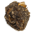 Golden Duck Bill Selenite - Specimen