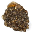 Golden Duck Bill Selenite - Specimen