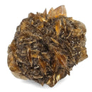 Golden Duck Bill Selenite - Specimen