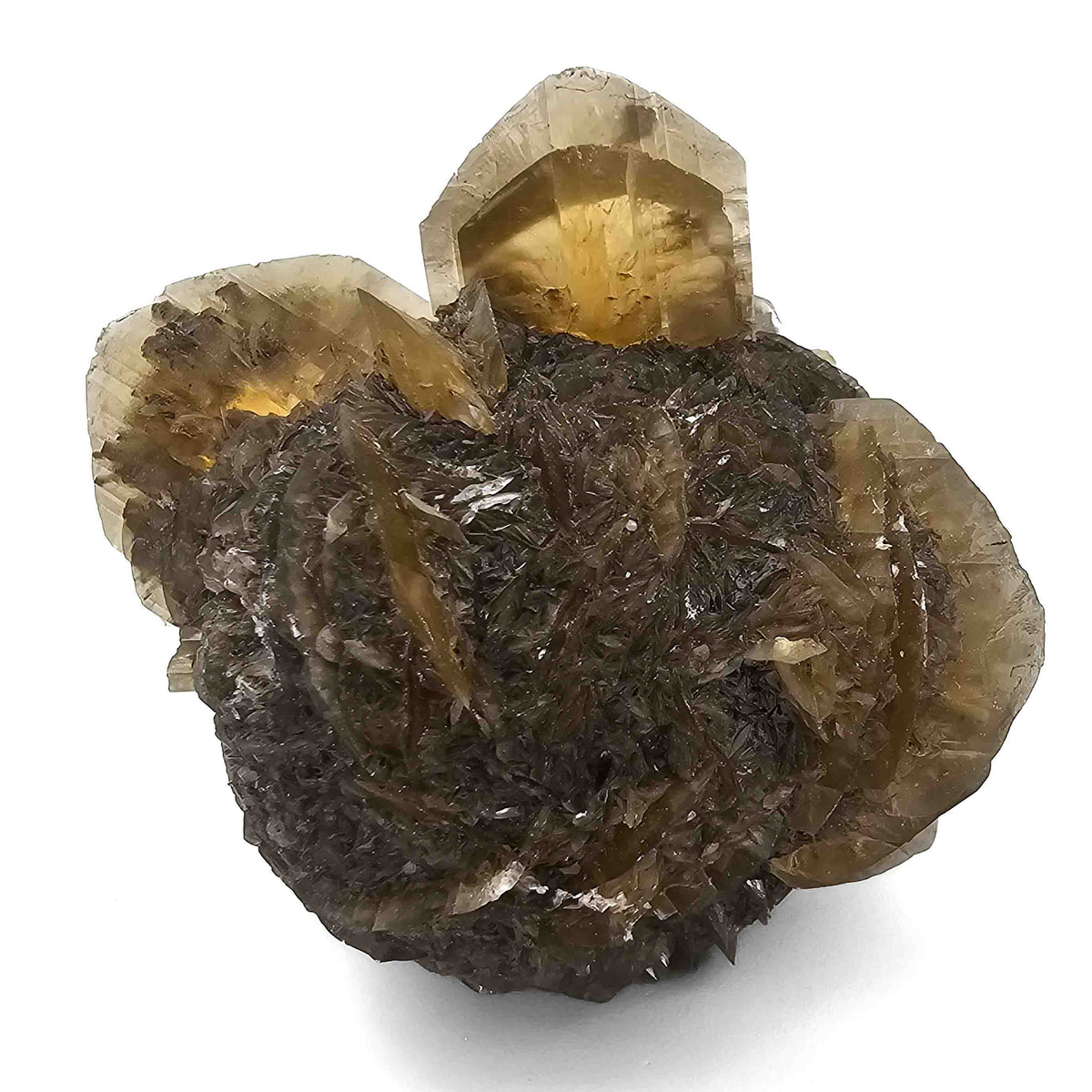 Golden Duck Bill Selenite specimen, a variety of gypsum, from Red River Floodway, Winnipeg, Manitoba, Canada.