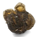 Golden Duck Bill Selenite - Specimen