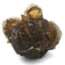 Golden Duck Bill Selenite - Specimen