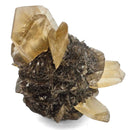Duck Bill Selenite - Specimen
