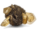 Duck Bill Selenite - Specimen