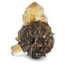 Duck Bill Selenite - Specimen