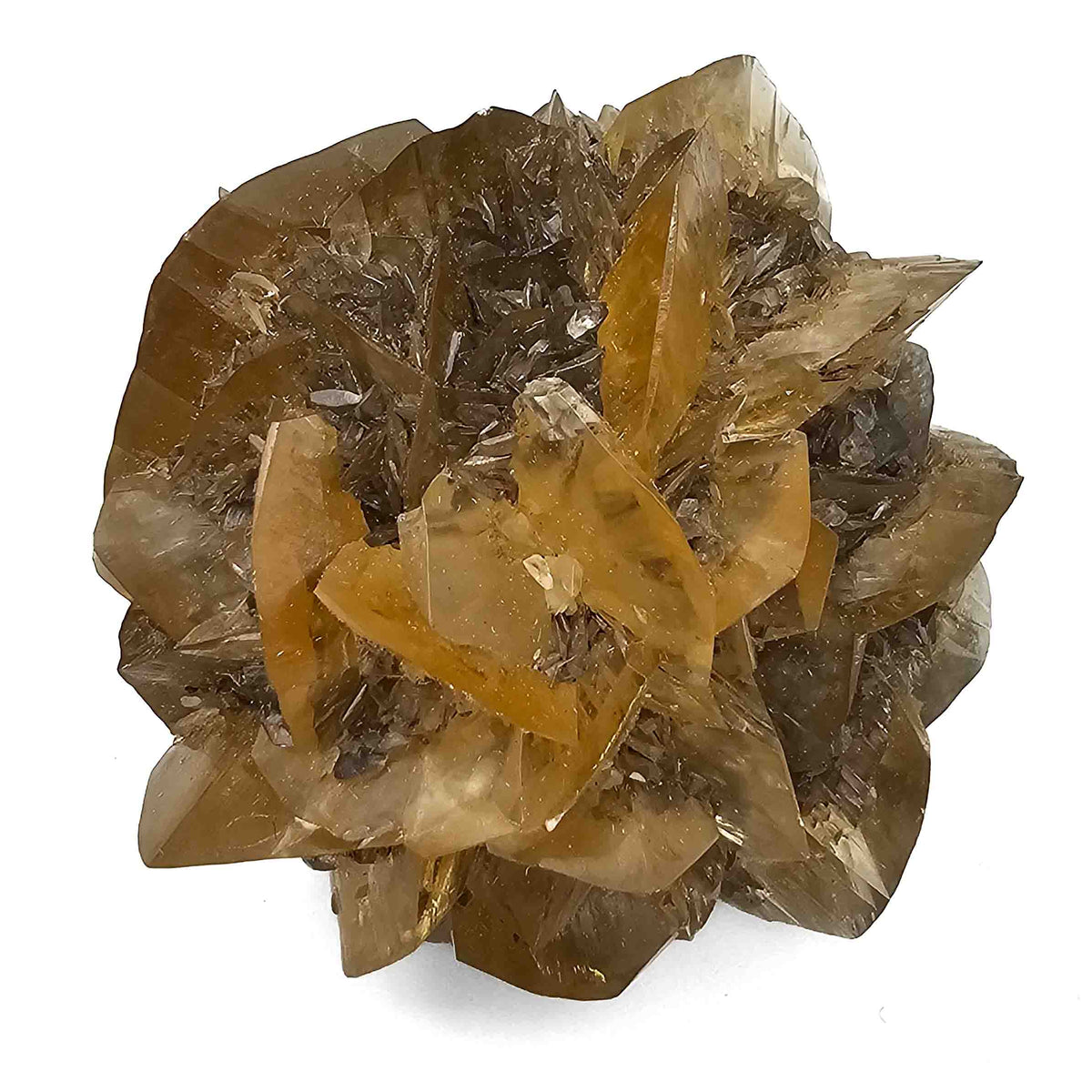 Golden Duck Bill Selenite specimen, a variety of gypsum, from Red River Floodway, Winnipeg, Manitoba, Canada.